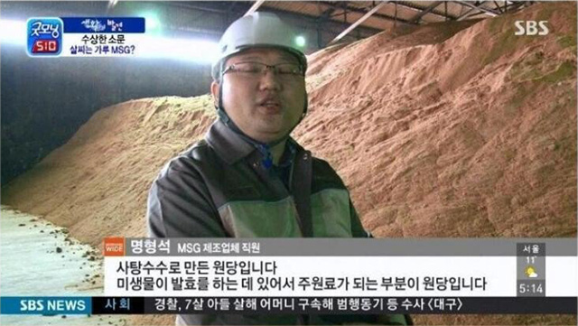  MSG 생산 업체 인터뷰 및 교수님 일침