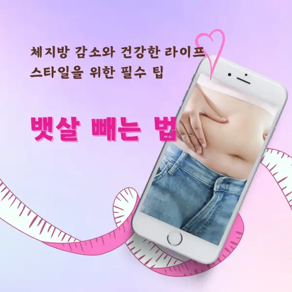 뱃살 빼는 법 완벽 가이드