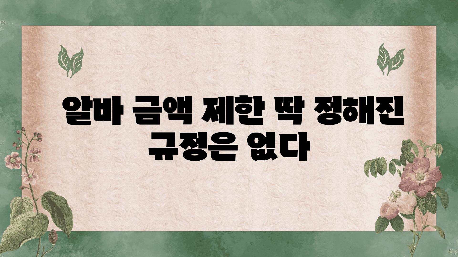  알바 금액 제한 딱 정해진 규정은 없다