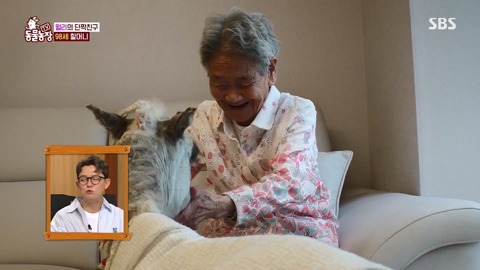 TV 동물농장.E1126.230625p.H264-F1RST.mp4_20230626_204300.032.jpg