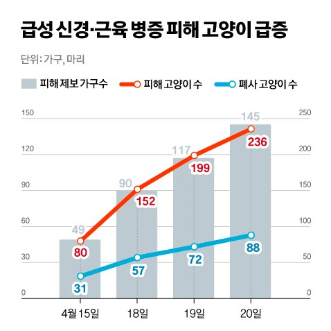 고양이 피해 상황