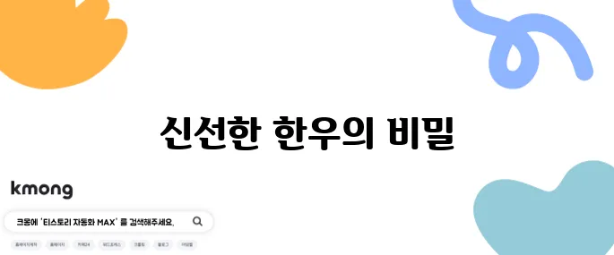 강릉 한우 맛집 강릉한우타운 바로 옆에 위치한 정육식당에서 특별한 맛을 경험하세요