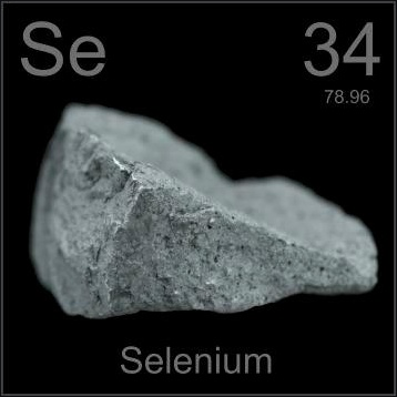 셀레늄 사진 섬네일