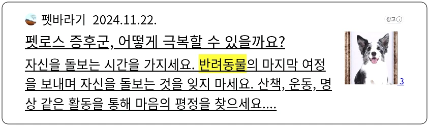 반려동물 장례_1_subsection