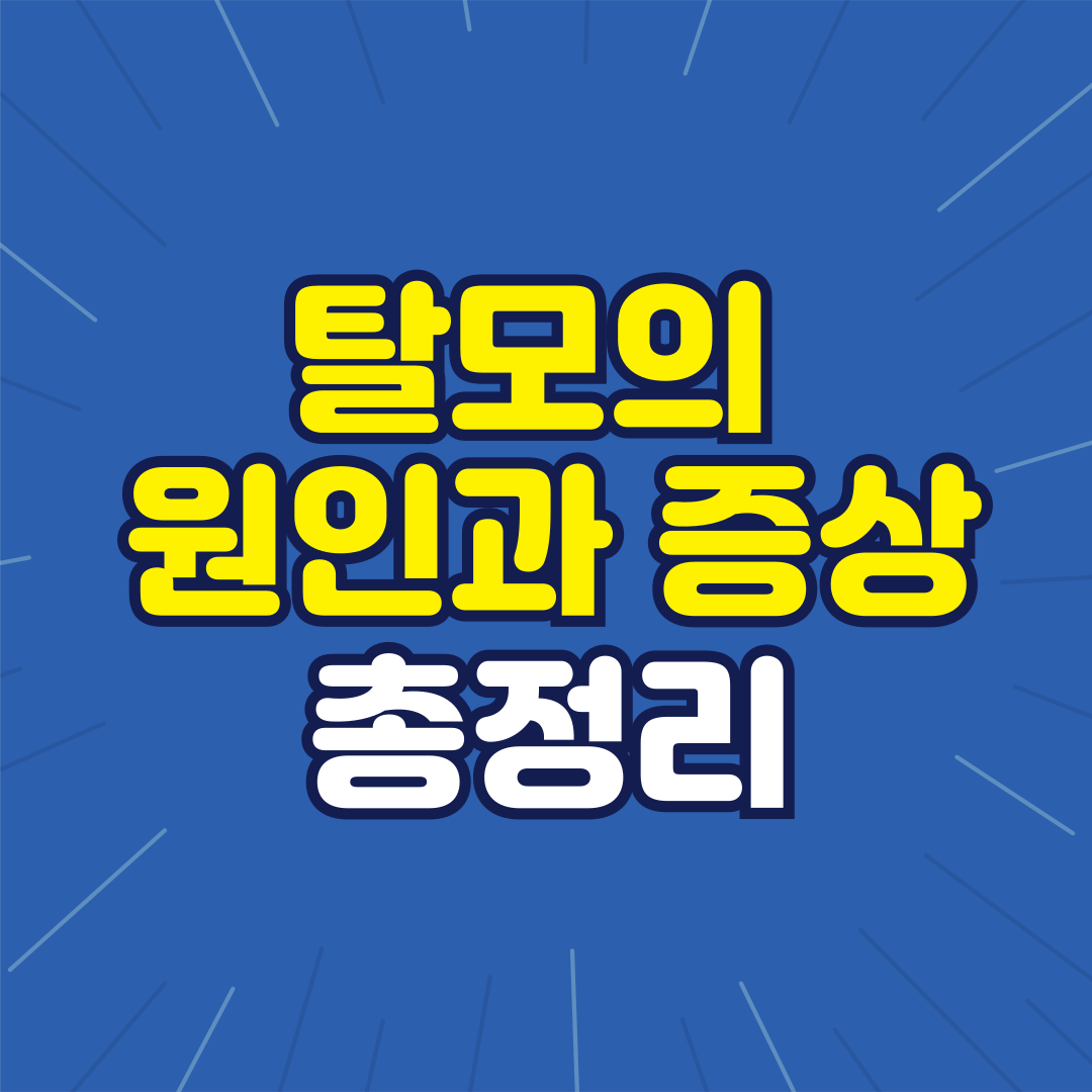 탈모의 원인과 증상