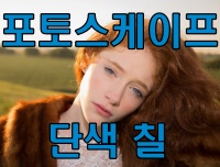  포토스케이프의 단색 칠을 이용한 부분 또는 전체 색상 변형