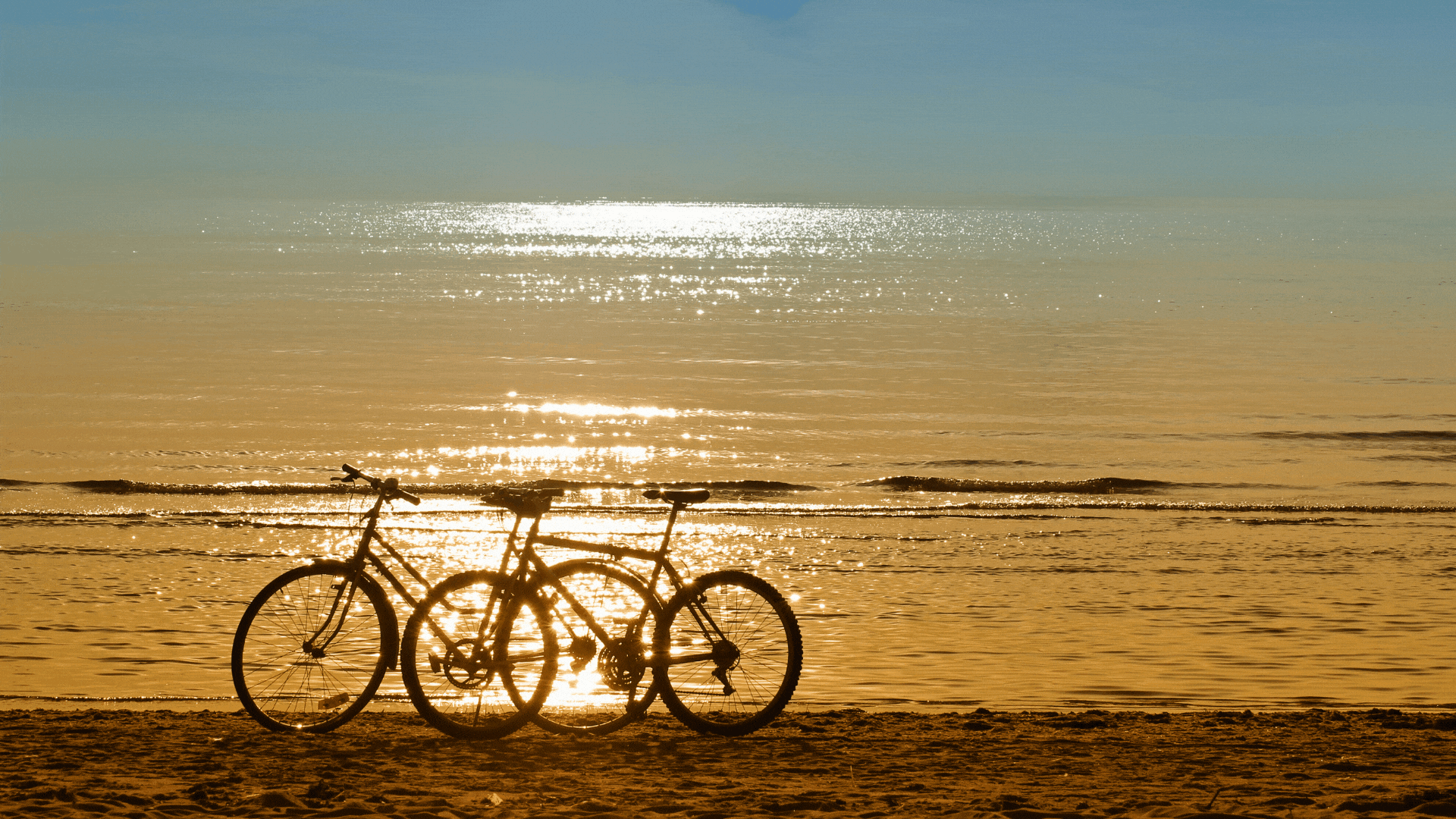  23.9월 성남시(분당) 아파트 매매거래량 순위 분석 !!!