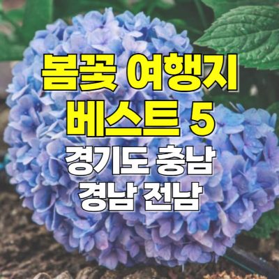 국내 봄 여행지 봄꽃여행 경기도 충남 경남 전남 카드뉴스