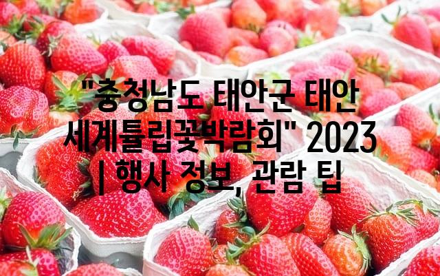 랜덤207