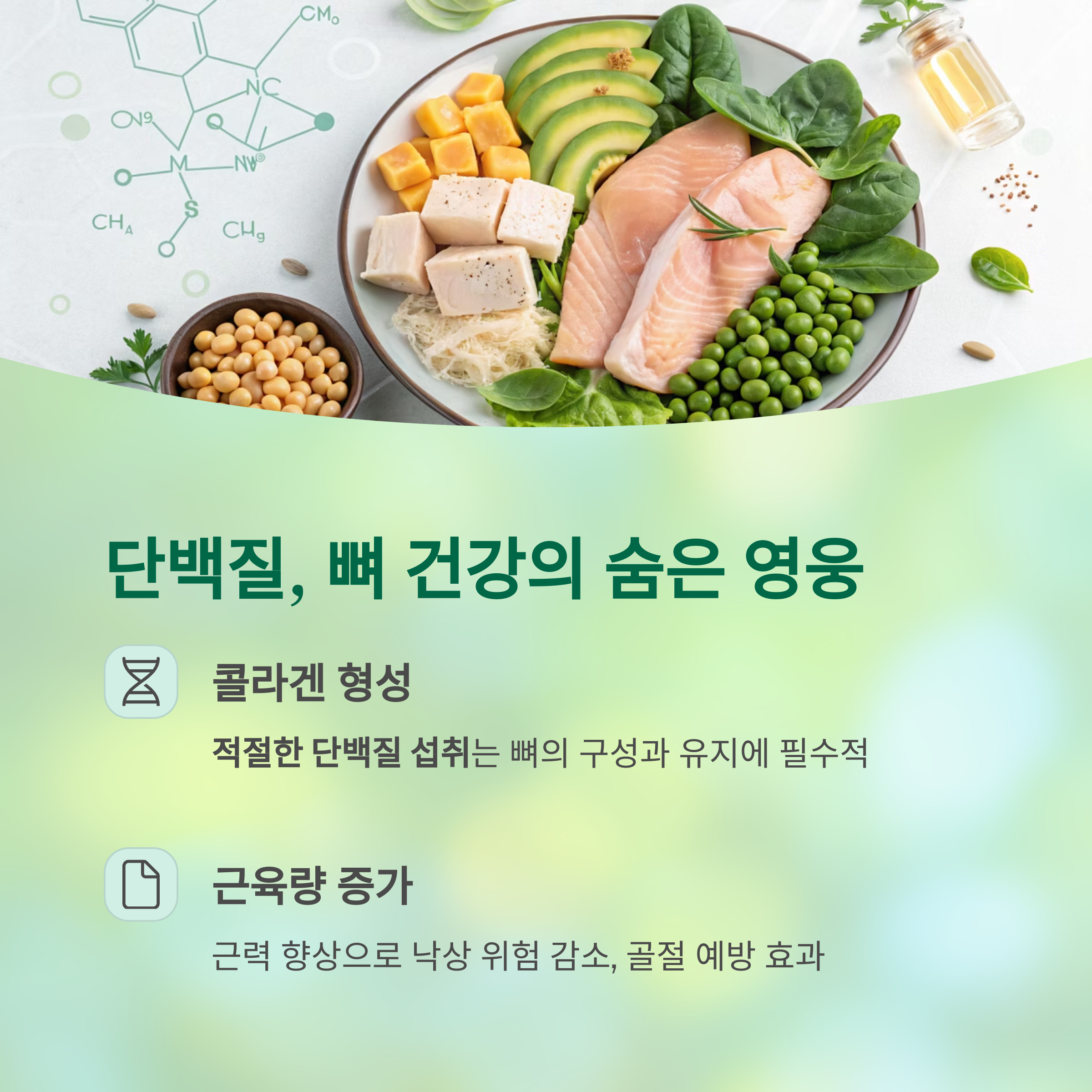 골다공증 예방을 위한 식사 전략, 칼슘만으로는 부족한 이유 - 골다공증 예방을 위한 영양소 균형, 무엇이 더 중요할까? - 단백질과 뼈 건강의 관계 골다공증 예방을 위한 식사 전략, 칼슘만으로는 부족한 이유 - 골다공증 예방을 위한 영양소 균형, 무엇이 더 중요할까? - 단백질과 뼈 건강의 관계