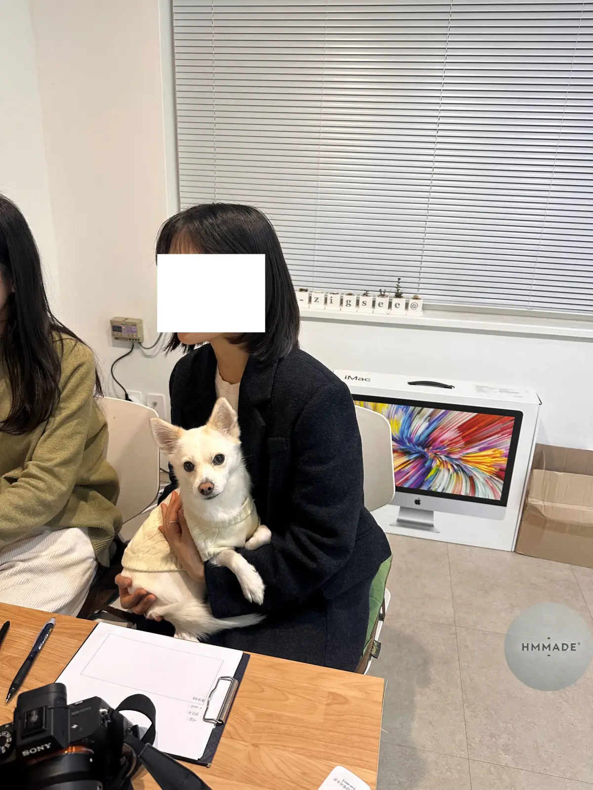 사진관지그시-강아지랑-보정중