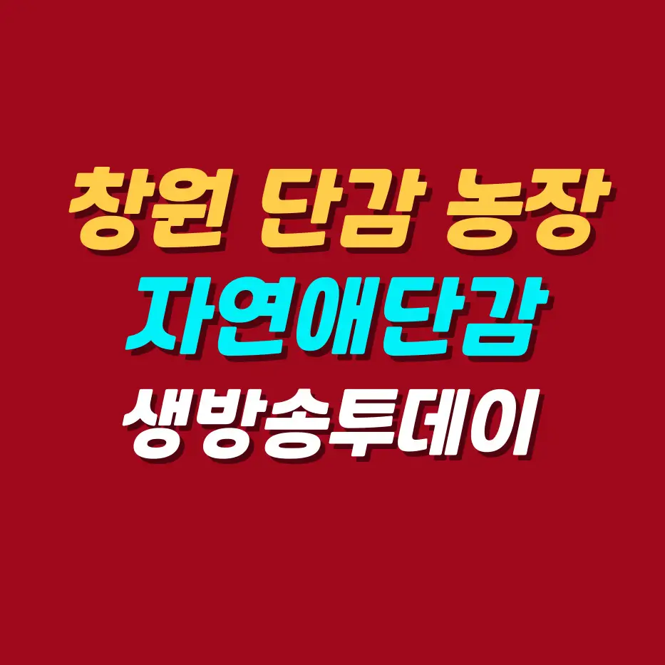 창원-단감-농장-자연애단감