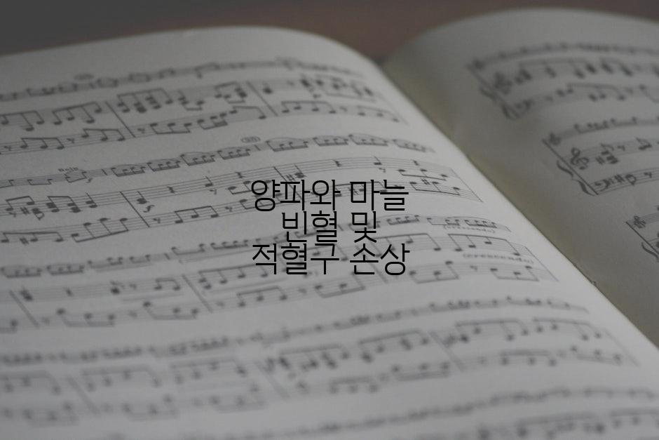 양파와 마늘 빈혈 및 적혈구 손상