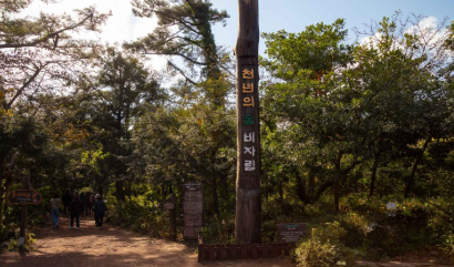 제주도 여행코스 2박3일