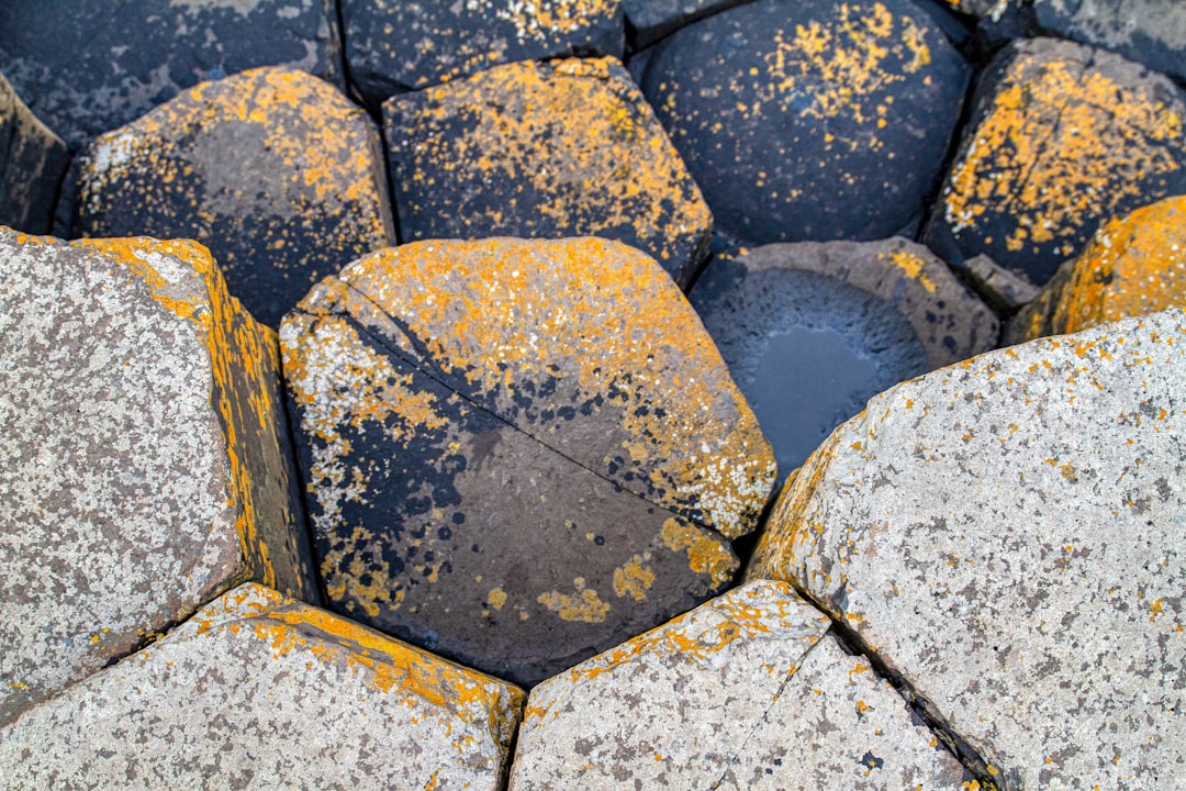 Volcanic stone.
