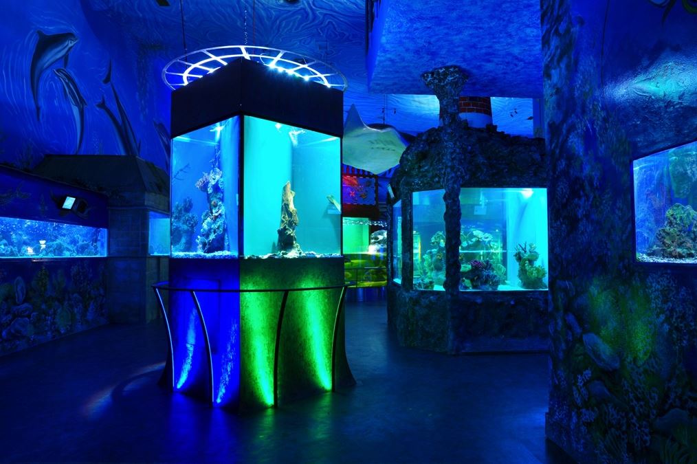 프라하-아쿠아리움-씨월드-사진