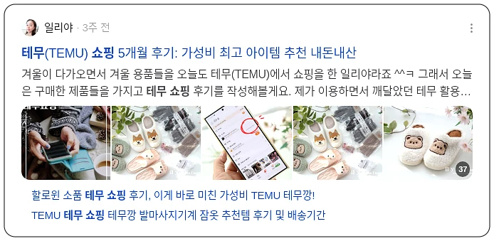 테무 쇼핑_3_subsection