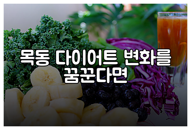 목동 다이어트 변화를 꿈꾼다면