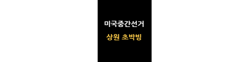미국중간선거