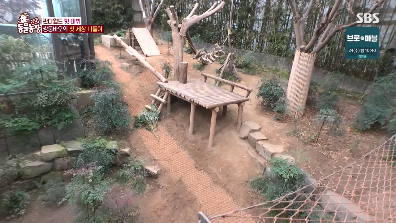 TV 동물농장.E1155.240122p-NEXT.mp4_20240121_145938.860.jpg