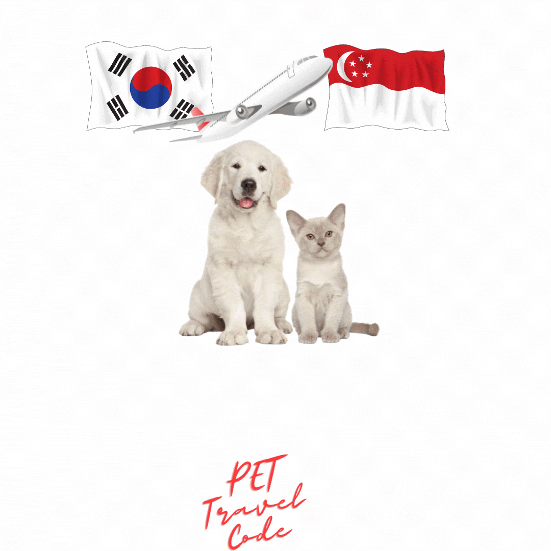  싱가포르(싱가폴) 강아지 고양이 검역 계류기간 단축 싱가포르 강아지 고양이 계류시설 이전중 강아지싱가폴운송 고양이싱가포르운송