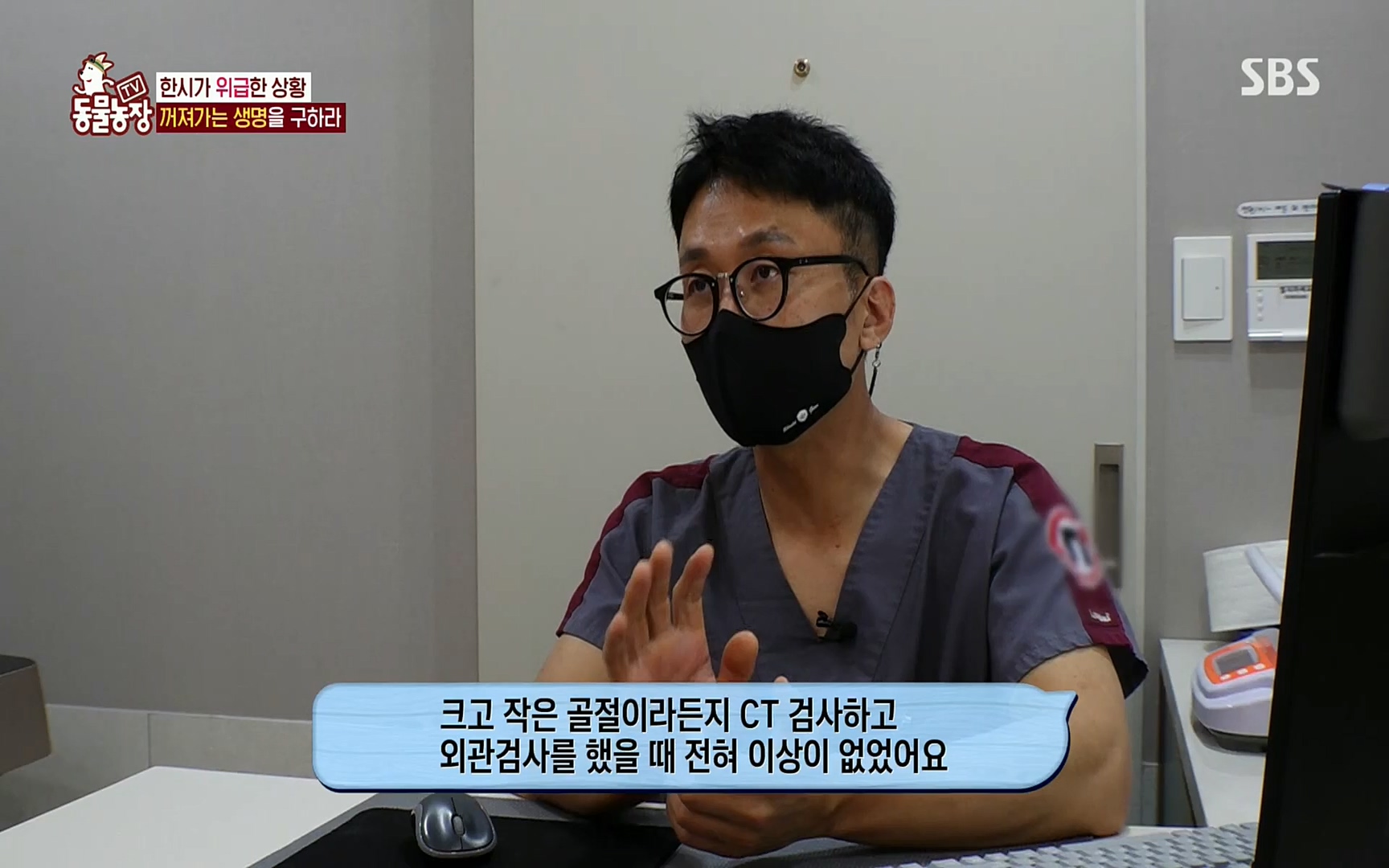 TV 동물농장.E1077.220710p.H264-F1RST.mp4_20220710_175436.869.jpg