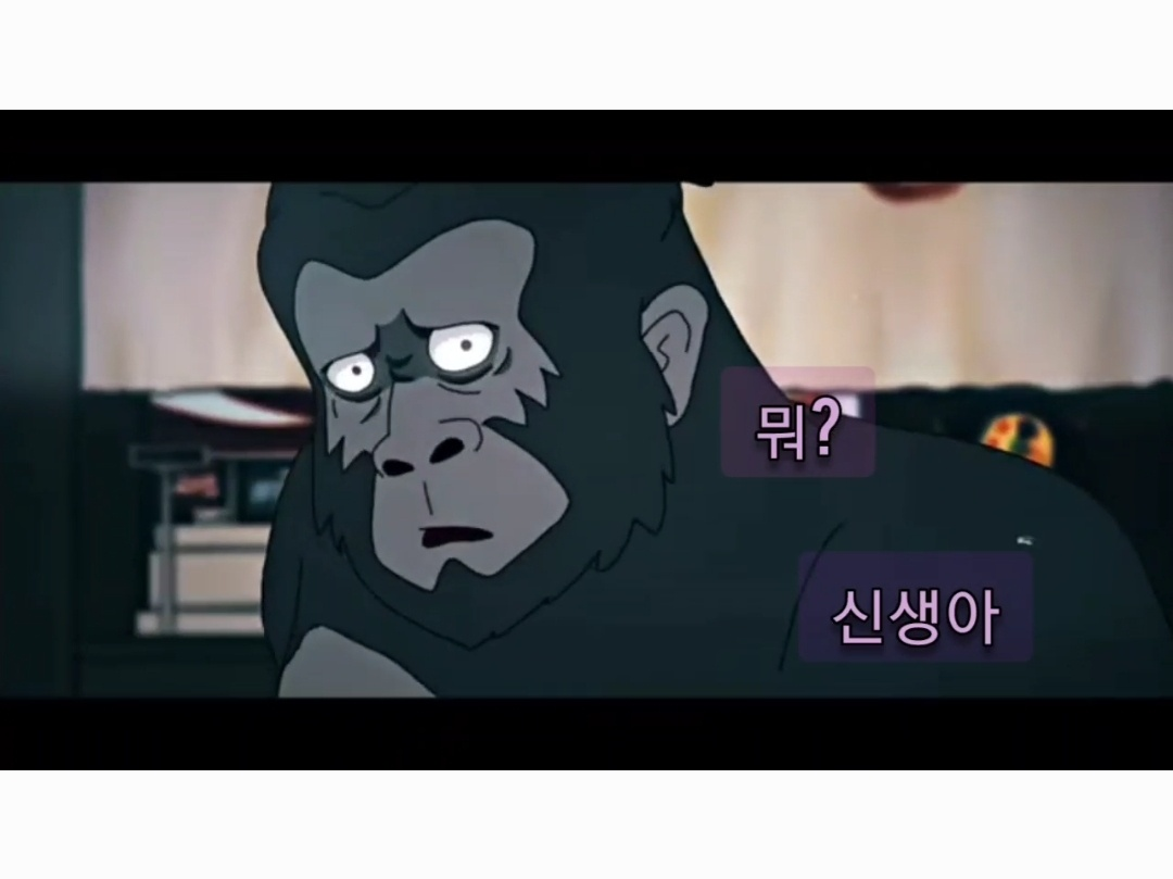 수차이 이미지