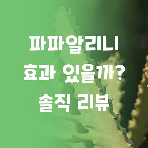 마니토바 유산균 파파알리니, 앵무새 깃털 건강에 정말 좋을까? 리얼 리뷰! 마니토바 유산균 파파알리니, 앵무새