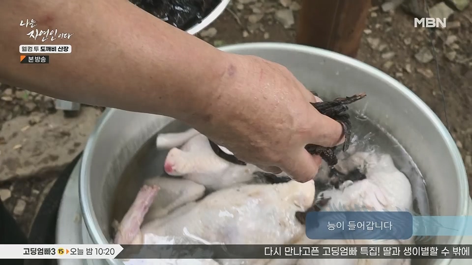 나는 자연인이다.E563.230719p.H264-F1RST.mp4_20230720_214651.390.jpg