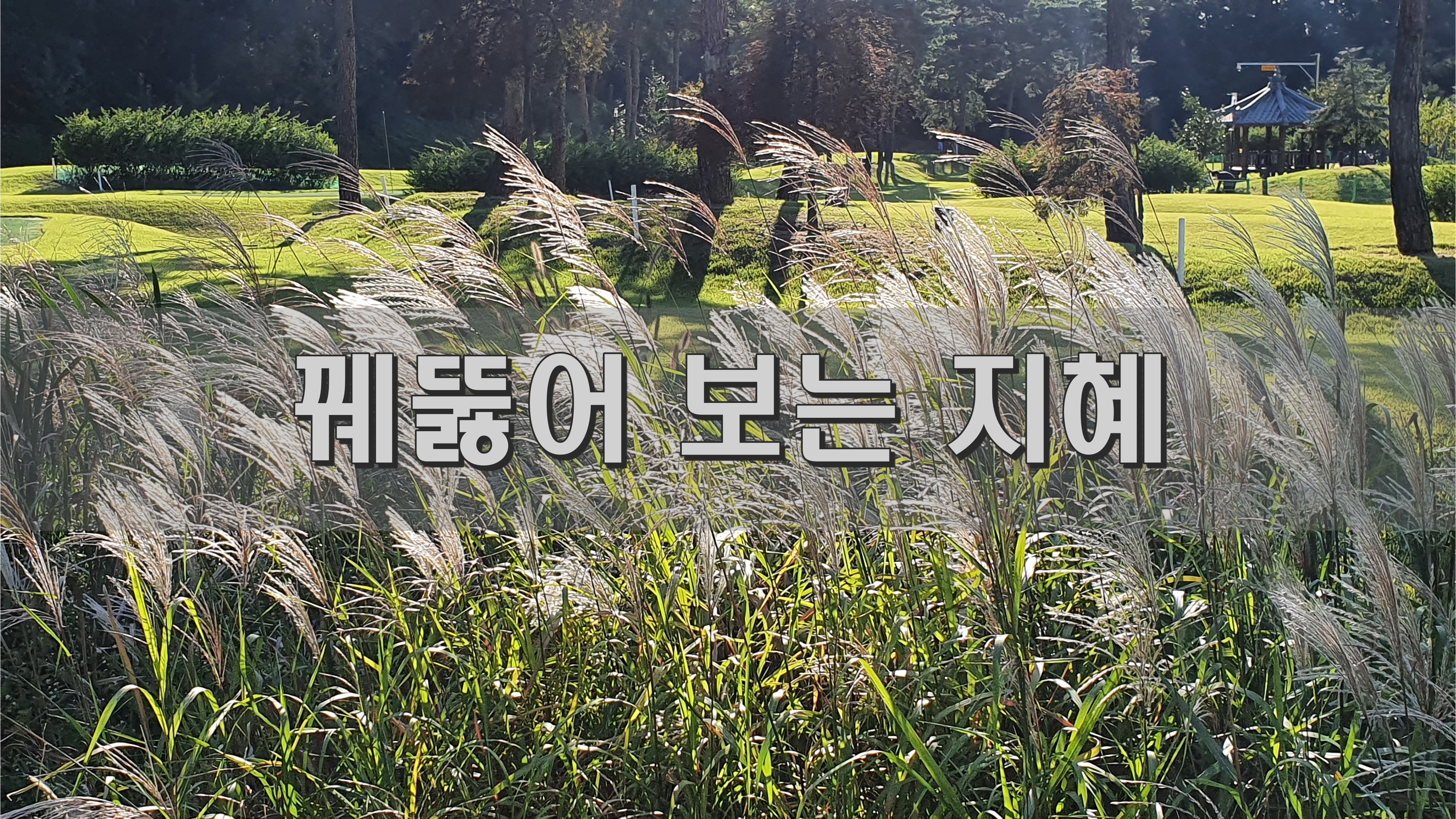  꿰뚫어 보는 지혜
