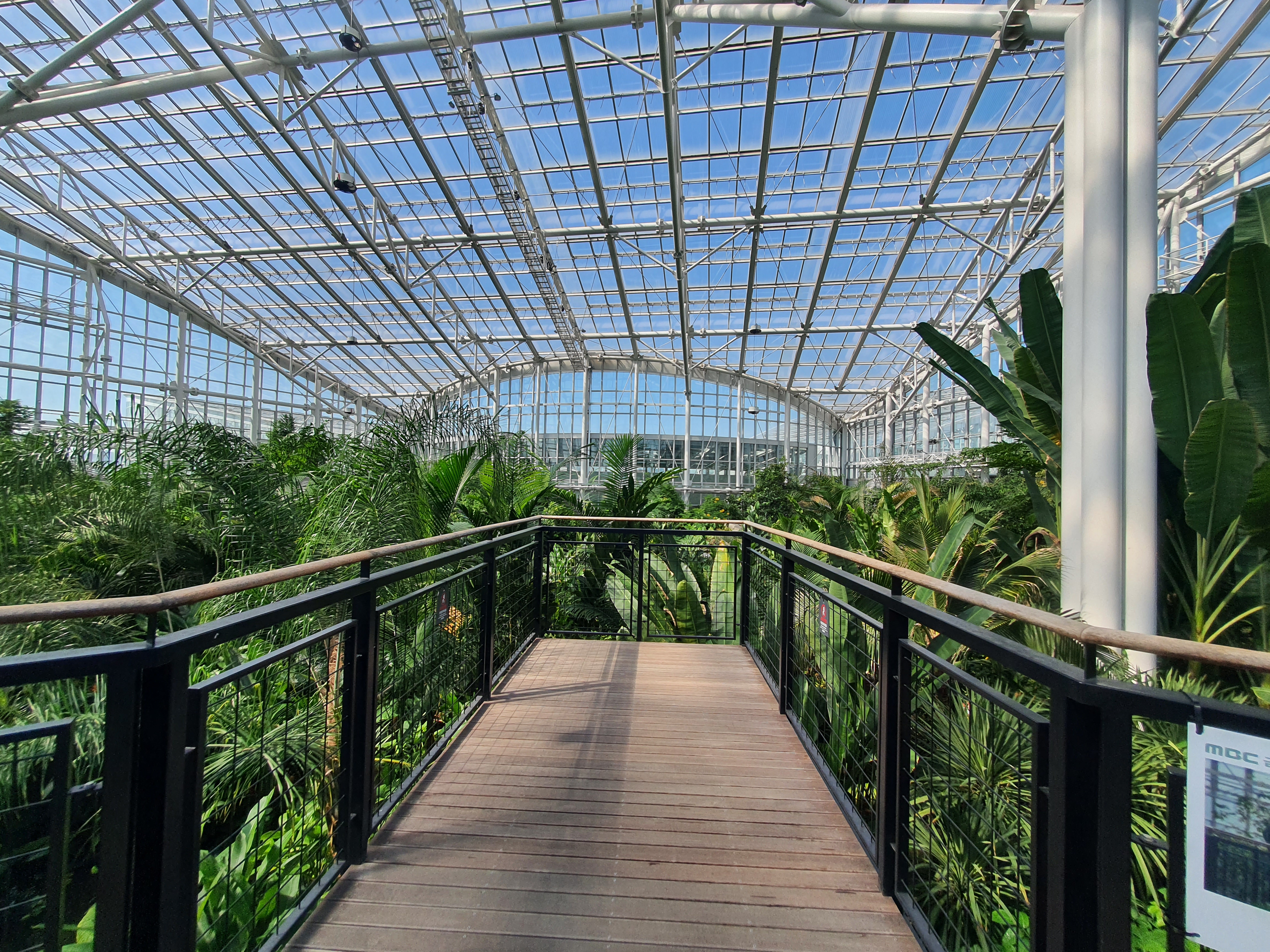 국립세종수목원 야간 개장 이용 안내 할인 혜택 세종 가볼만한 곳