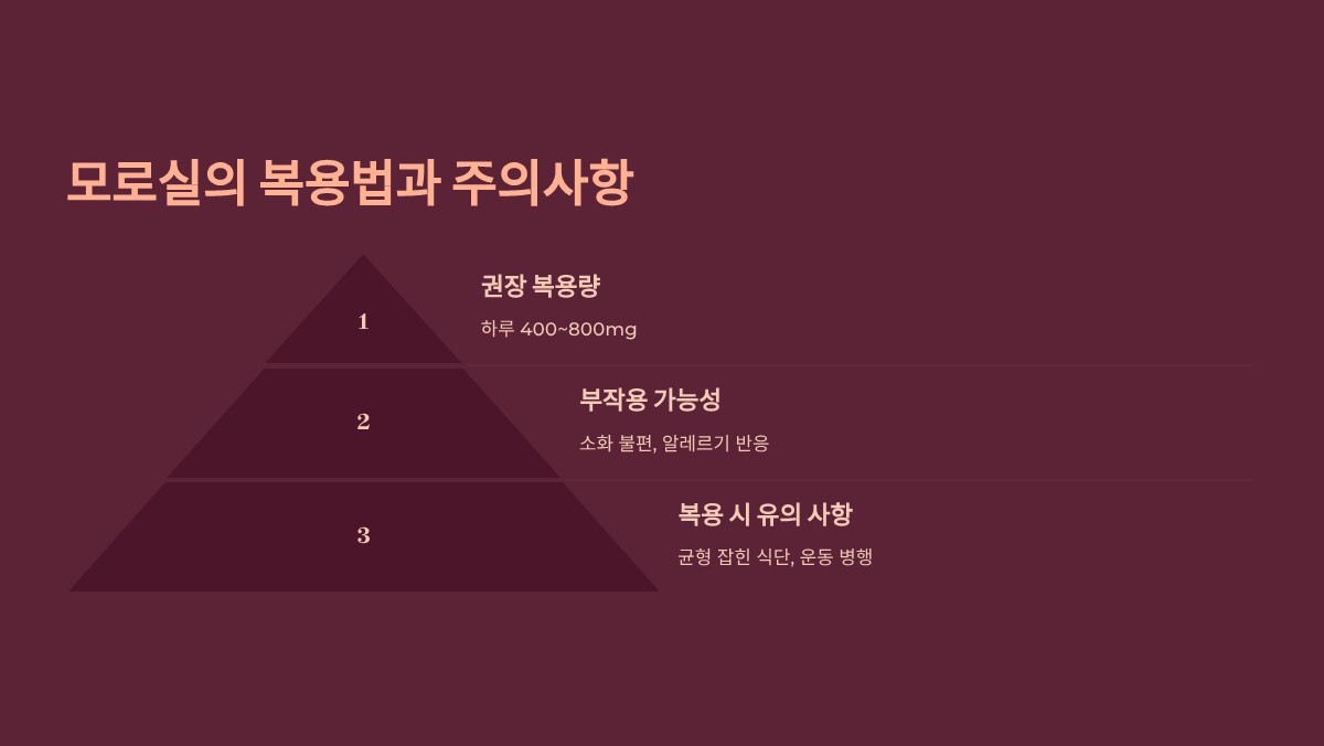 모로실 효능