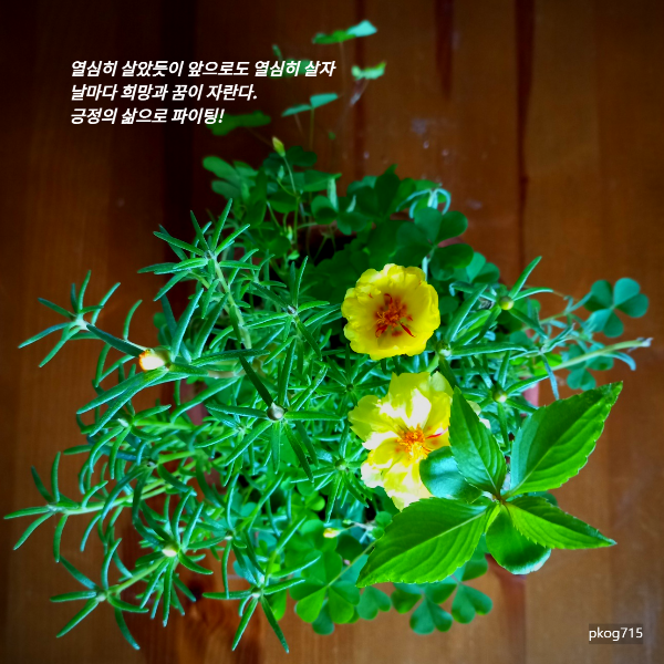 어머니밥상 이미지
