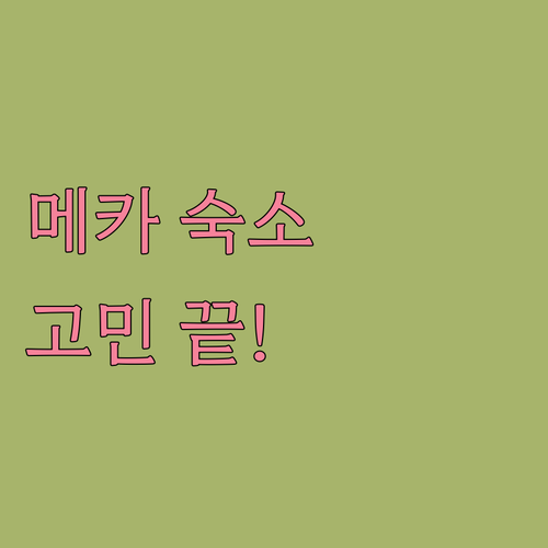 메카 숙소 고민 끝! 스위소텔 메카,