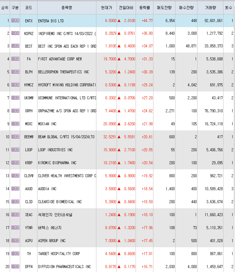  6월23일 미국주식 상승률 상위 종목 TOP 300