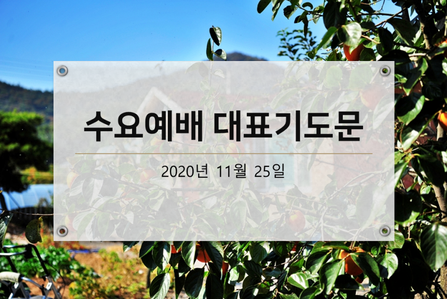  수요예배 기도문 2020년 11월