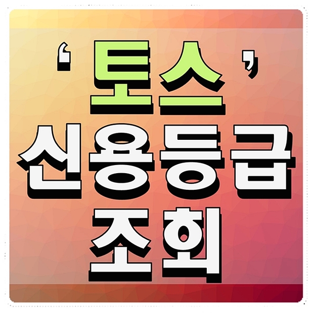  토스 신용등급 조회 각종 정보조회