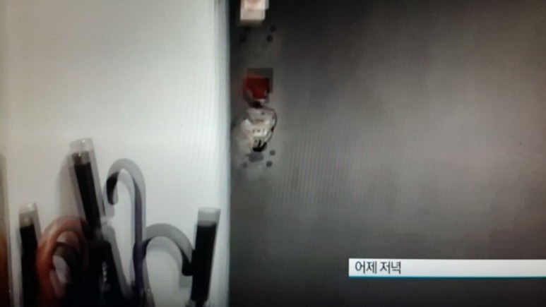 김용호 체포 경찰, '가세연' 운영진 13