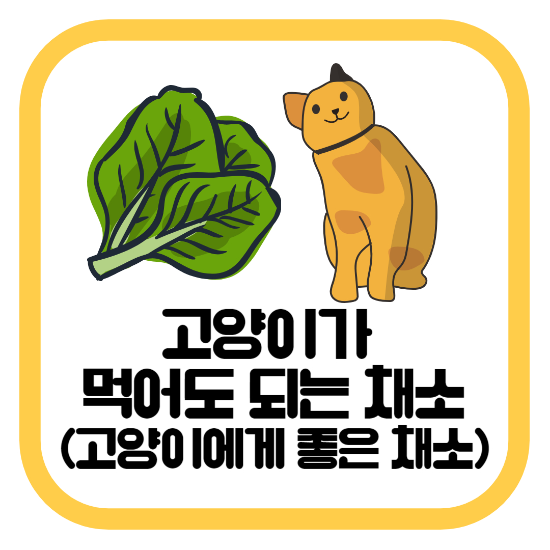 고양이가 먹어도 되는 채소(고양이에게 좋은 채소)
