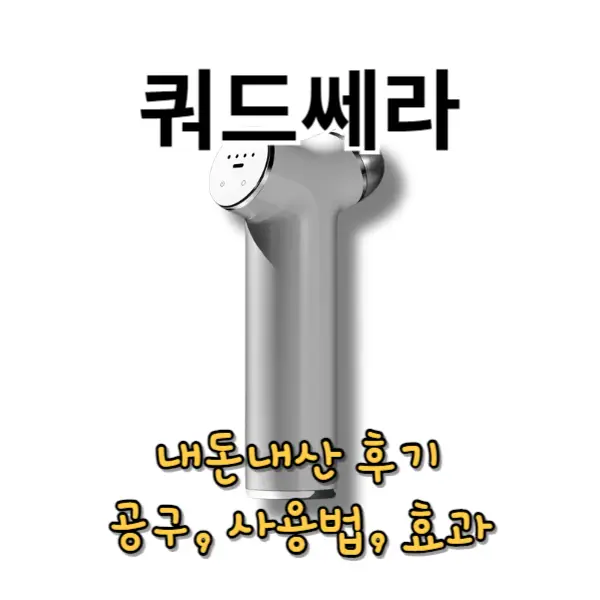 쿼드쎄라 내돈내산 후기, 공구, 효과, 사용법(전파인증 논란 확인)