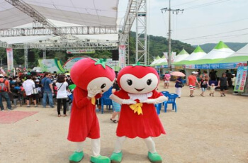 퇴촌 토마토 축제_5