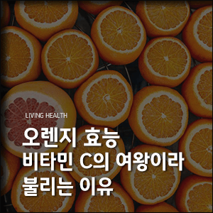 오렌지-효능-비타민C
