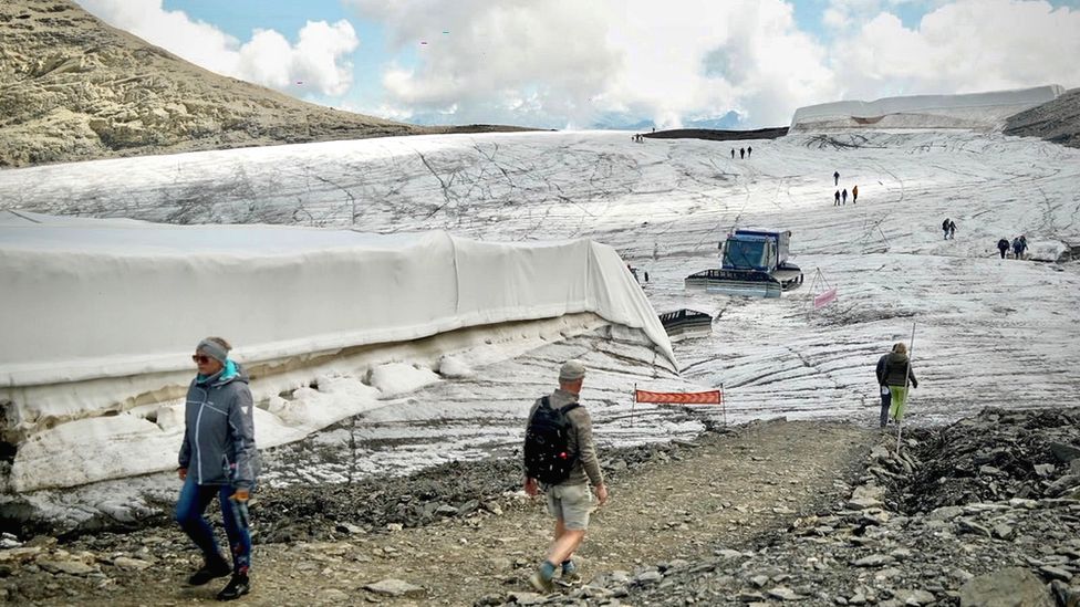 유명한 관광지인 Glacier 3000에서는 얼음 덩어리가 보호 덮개로 싸여 있다.