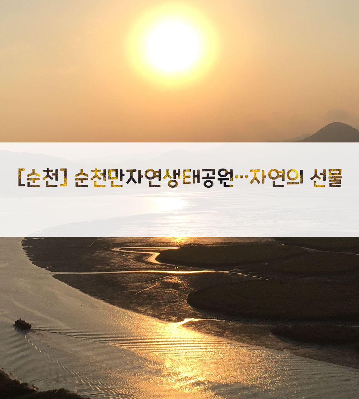 [순천] 순천만자연생태공원…자연의 선물