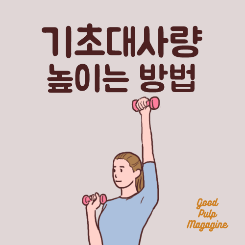 기초대사량 높이는 방법