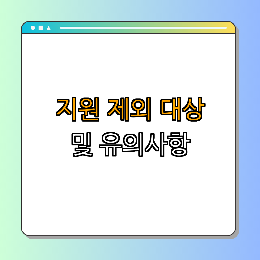 3. 지원 제외 대상과 유의사항