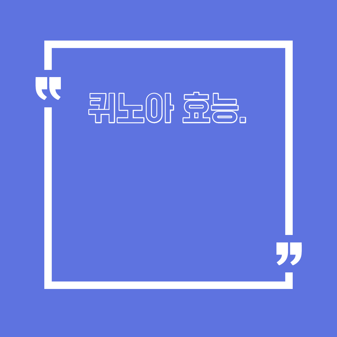  퀴노아 효능