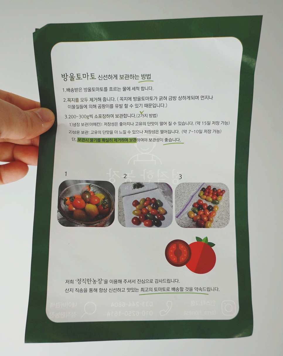 토마토들 산지직송 컬러 20