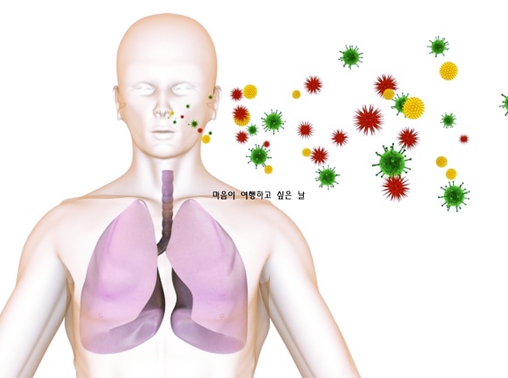 폐렴 초기증상