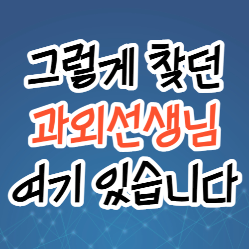  주안 초등 중등 수학과외 고등 인천 영어과외 초등학생 중학생 수능 내신 남자쌤 여자쌤 고등학생 비대면 일대일 과외선생님 방문수업 대면